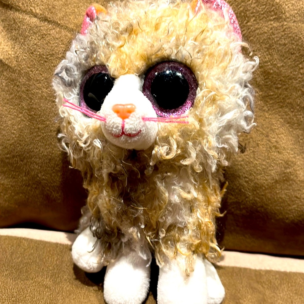 Scrappy the cat Beanie Boo